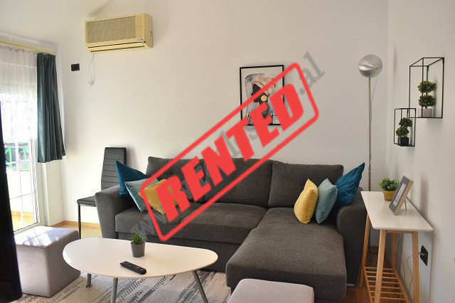 Apartament 1+1 per qira ne rrugen Cerciz Topulli, ne Tirane.
Pozicionohet ne katin e 4te te nje vil